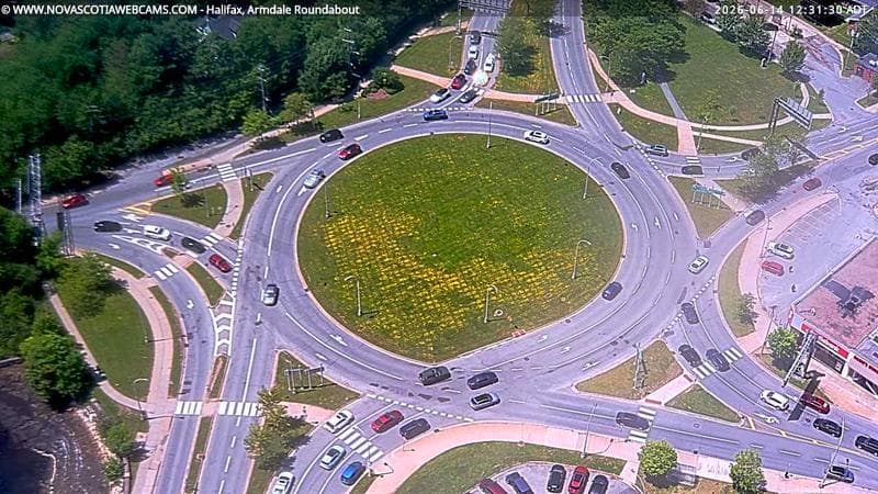 Armdale Roundabout 2