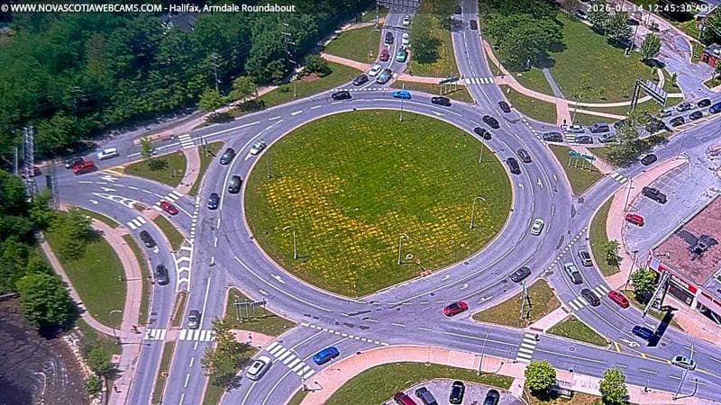 Armdale Roundabout 2
