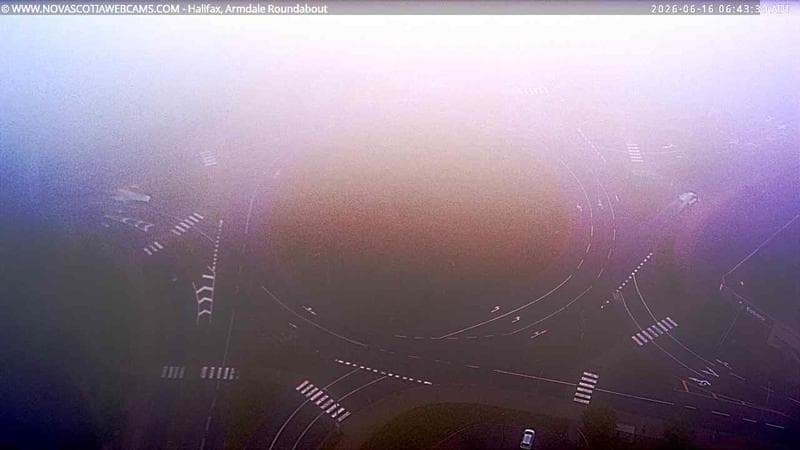 Armdale Roundabout 2