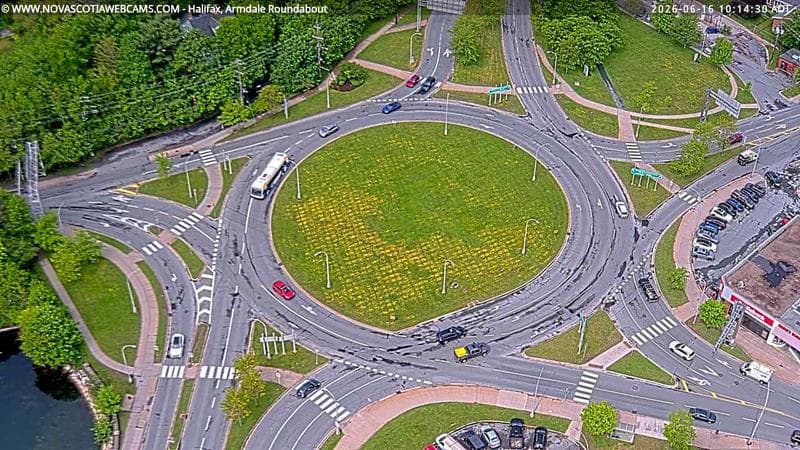 Armdale Roundabout 2