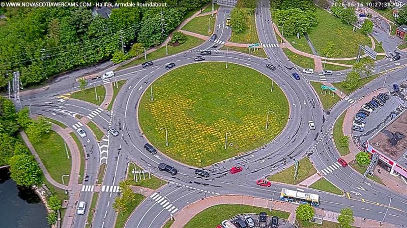 Armdale Roundabout 2