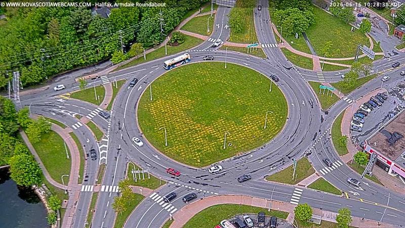 Armdale Roundabout 2