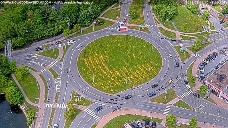 Armdale Roundabout 2