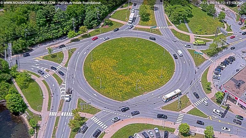 Armdale Roundabout 2