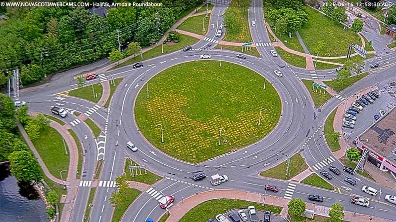 Armdale Roundabout 2