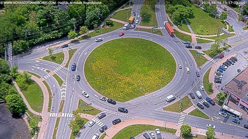 Armdale Roundabout 2