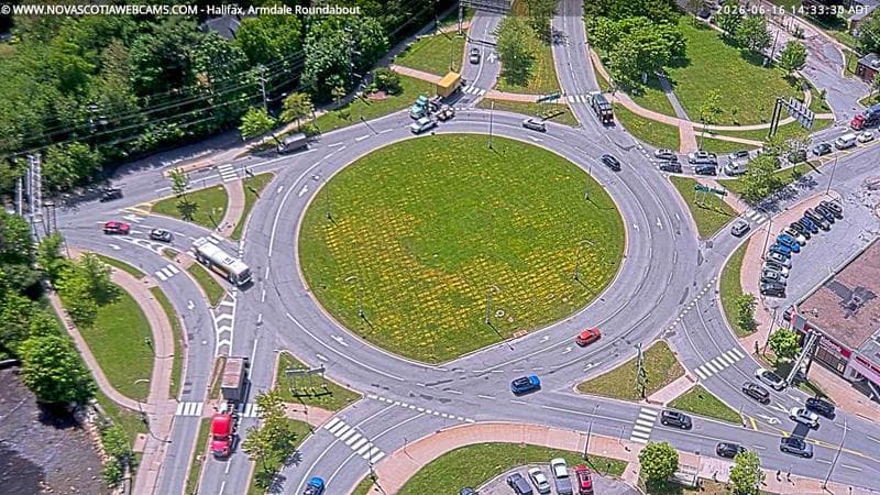 Armdale Roundabout 2