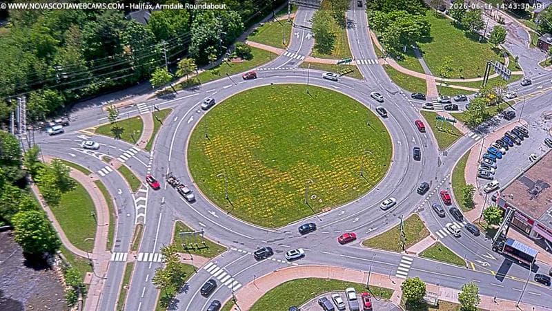 Armdale Roundabout 2