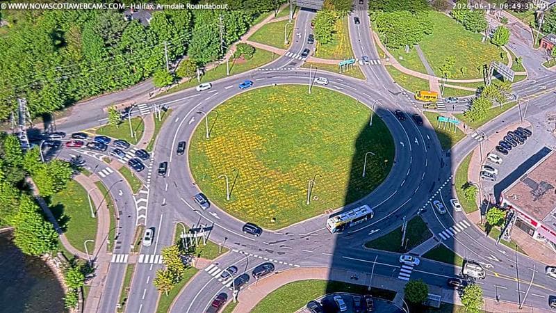 Armdale Roundabout 2