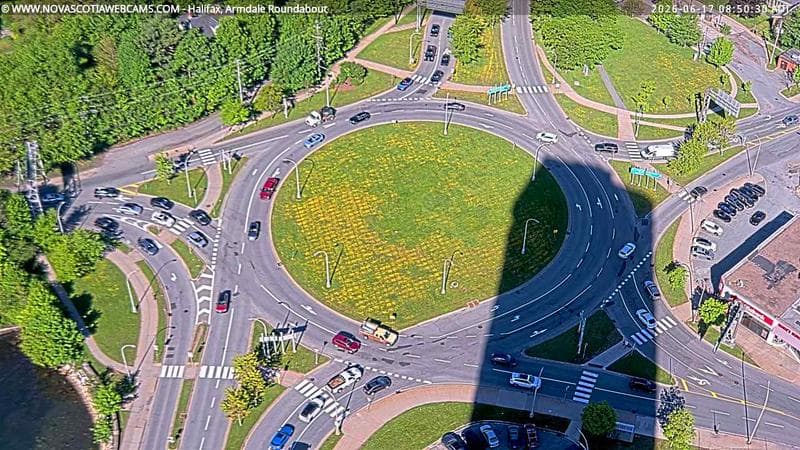 Armdale Roundabout 2