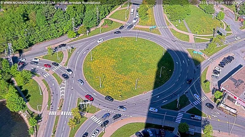 Armdale Roundabout 2