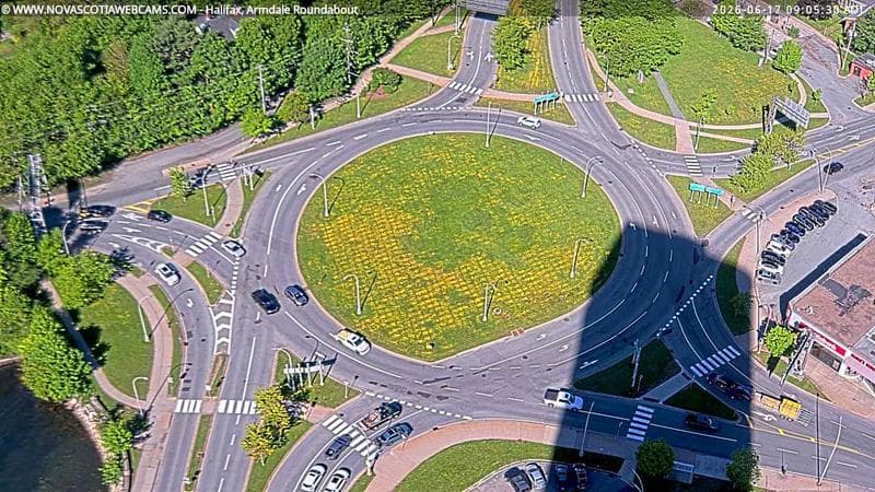 Armdale Roundabout 2