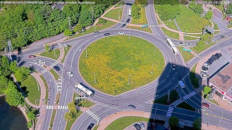 Armdale Roundabout 2
