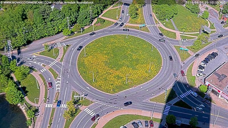 Armdale Roundabout 2