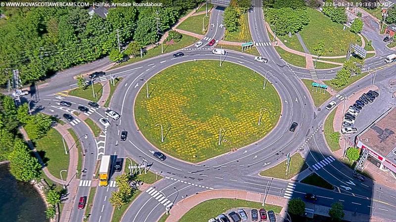 Armdale Roundabout 2