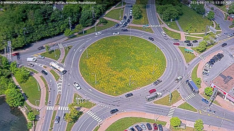 Armdale Roundabout 2
