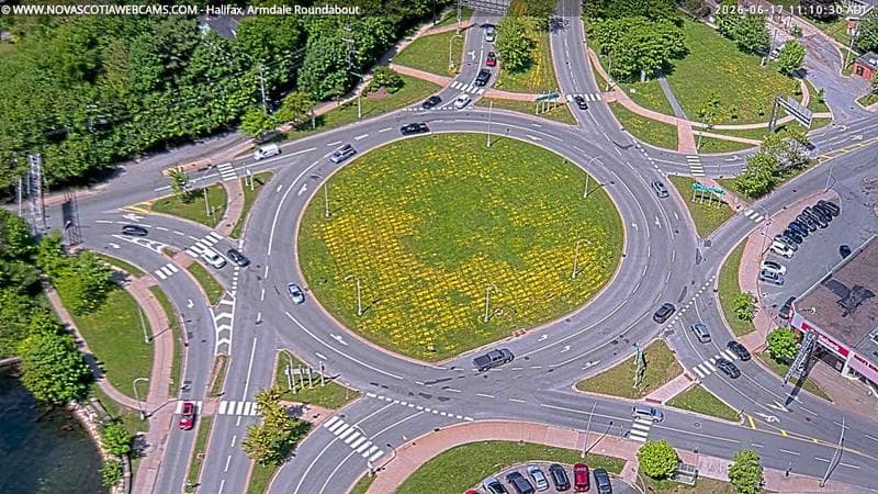 Armdale Roundabout 2