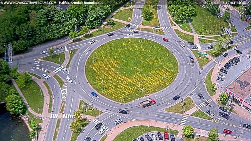 Armdale Roundabout 2