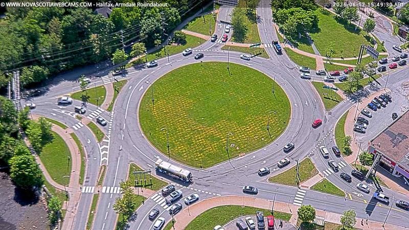 Armdale Roundabout 2