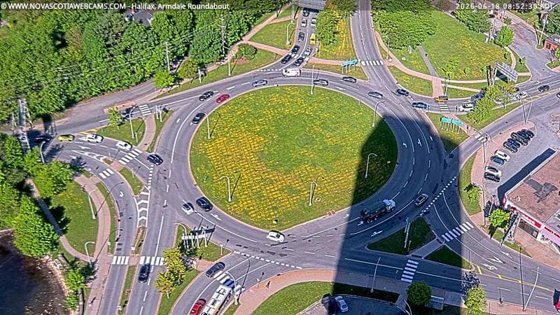 Armdale Roundabout 2