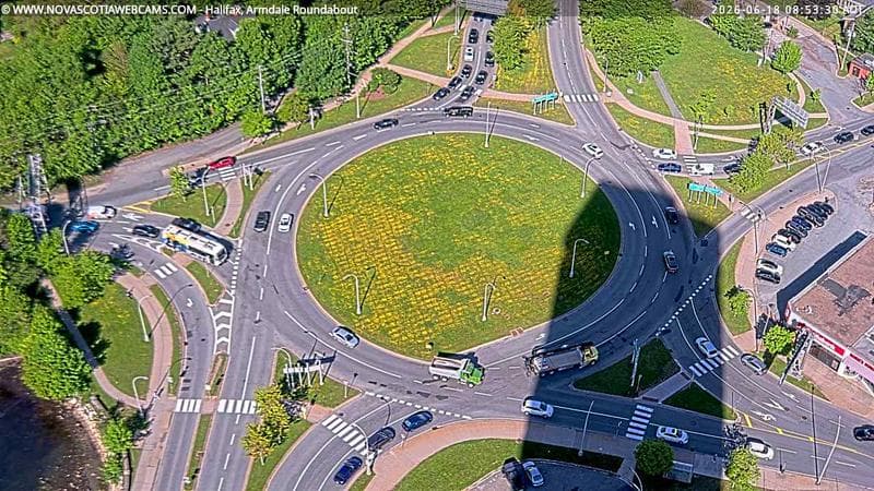 Armdale Roundabout 2