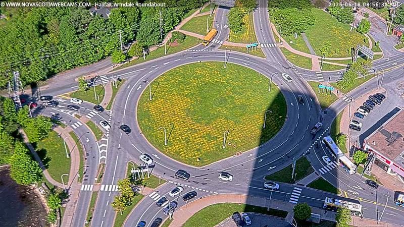 Armdale Roundabout 2