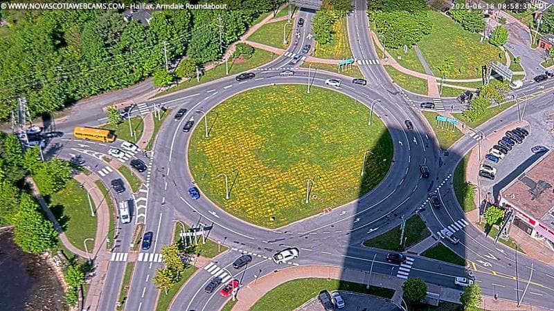 Armdale Roundabout 2