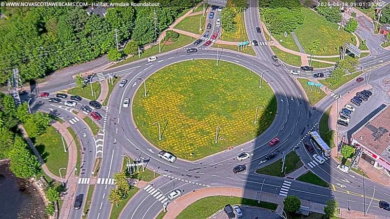 Armdale Roundabout 2