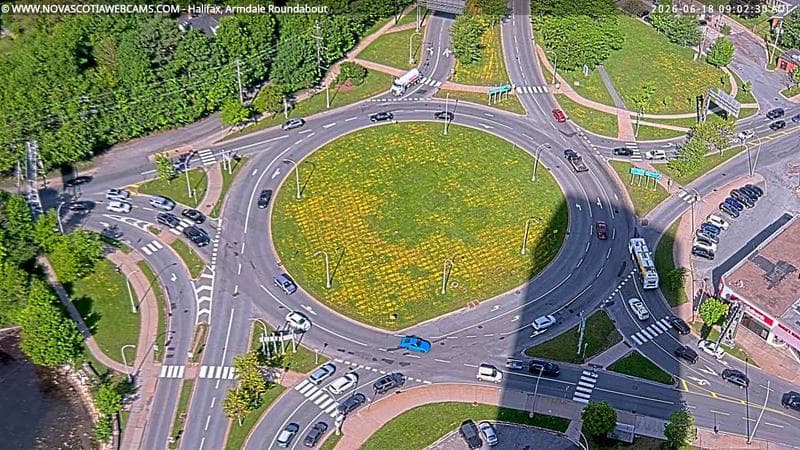 Armdale Roundabout 2