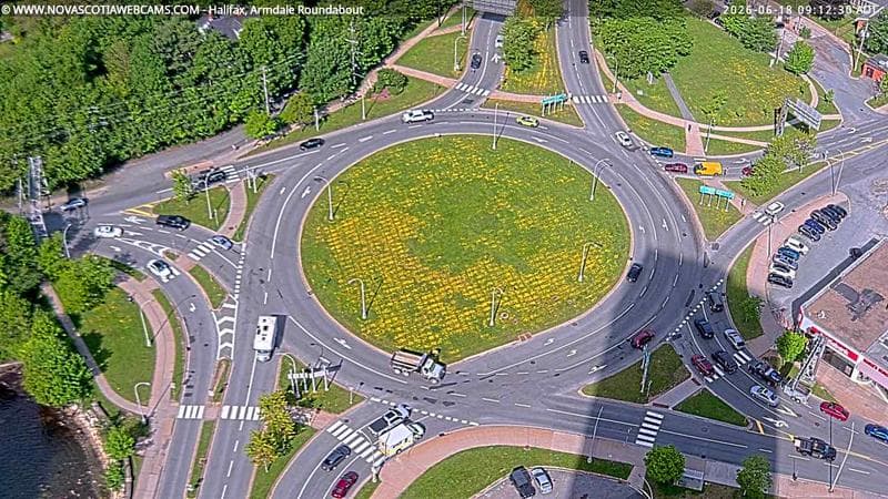 Armdale Roundabout 2