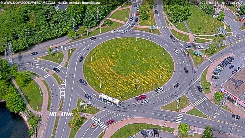 Armdale Roundabout 2