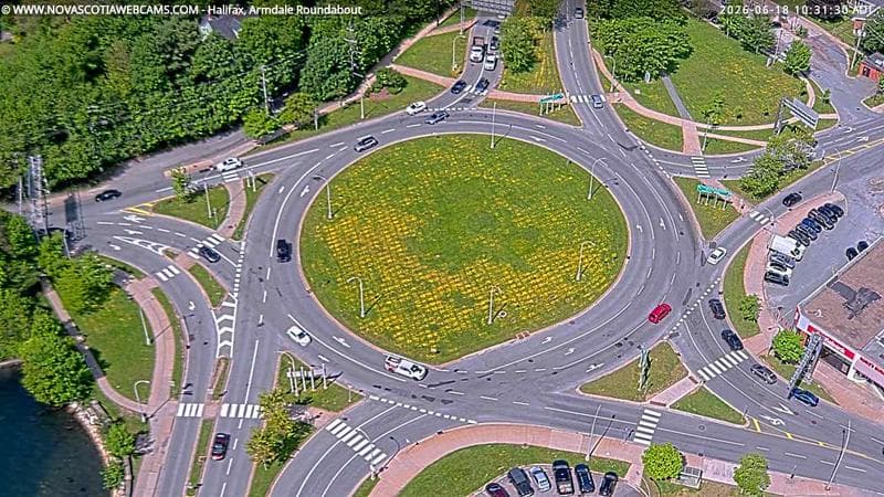 Armdale Roundabout 2