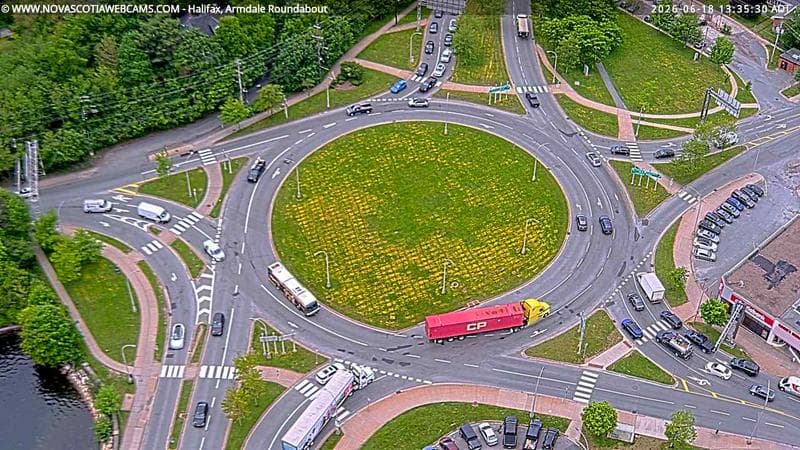 Armdale Roundabout 2