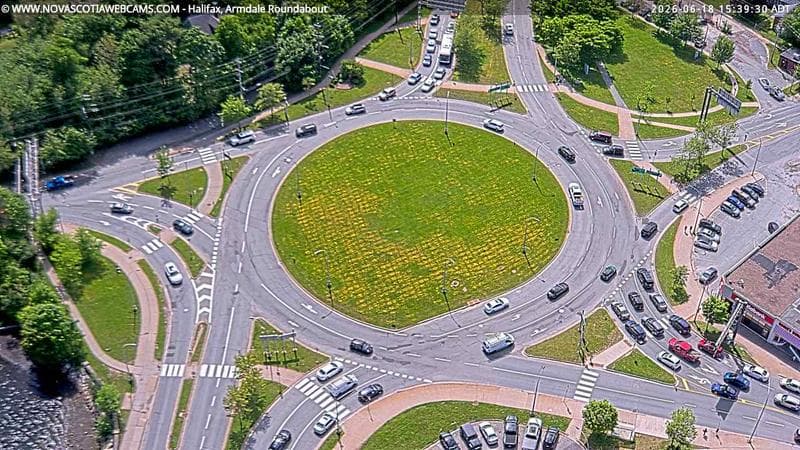 Armdale Roundabout 2
