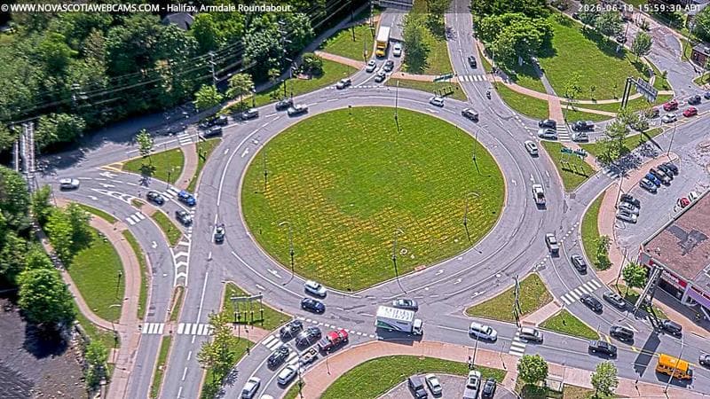 Armdale Roundabout 2
