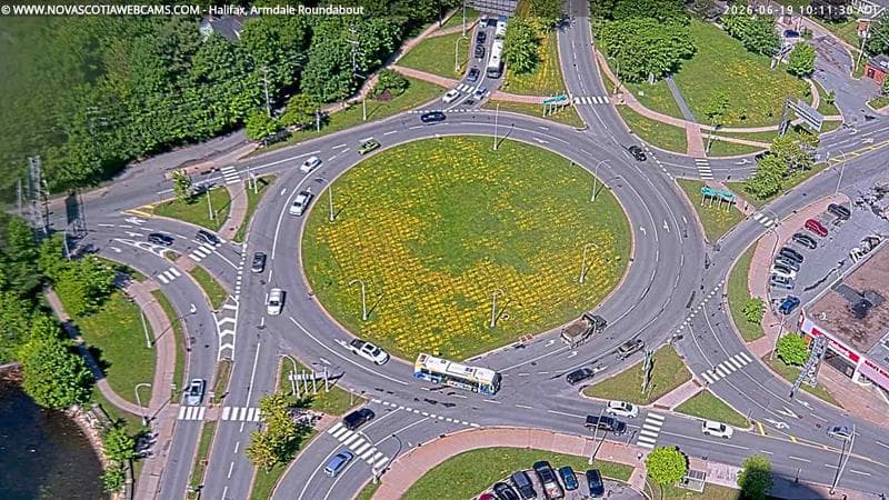 Armdale Roundabout 2