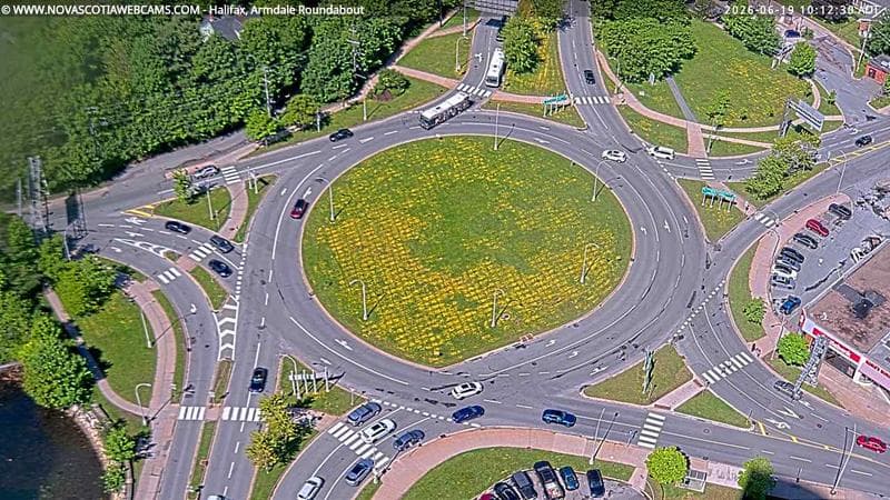 Armdale Roundabout 2