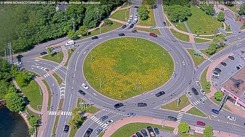 Armdale Roundabout 2