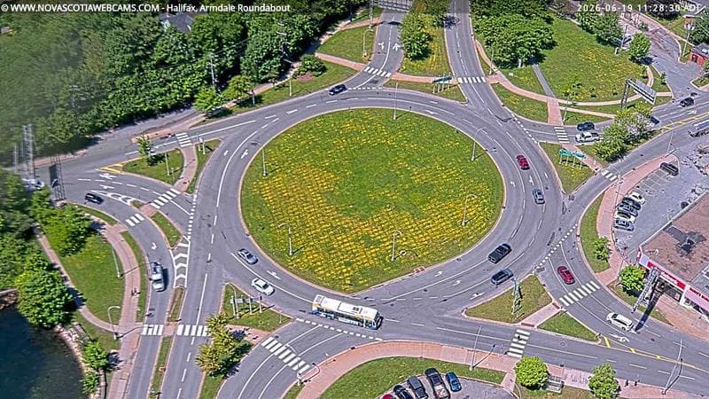 Armdale Roundabout 2