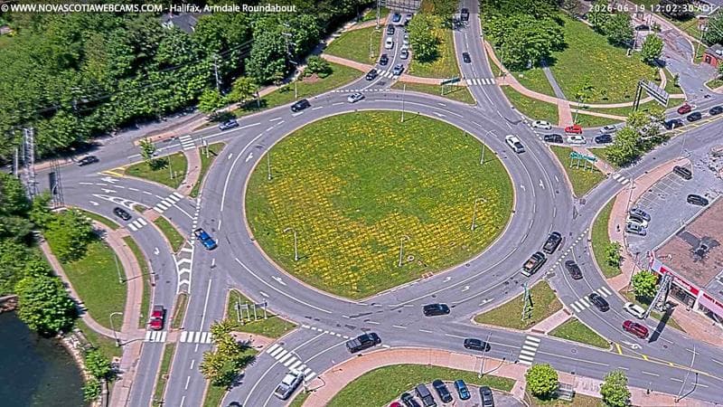Armdale Roundabout 2