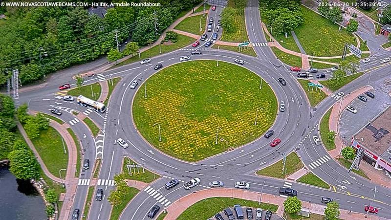 Armdale Roundabout 2