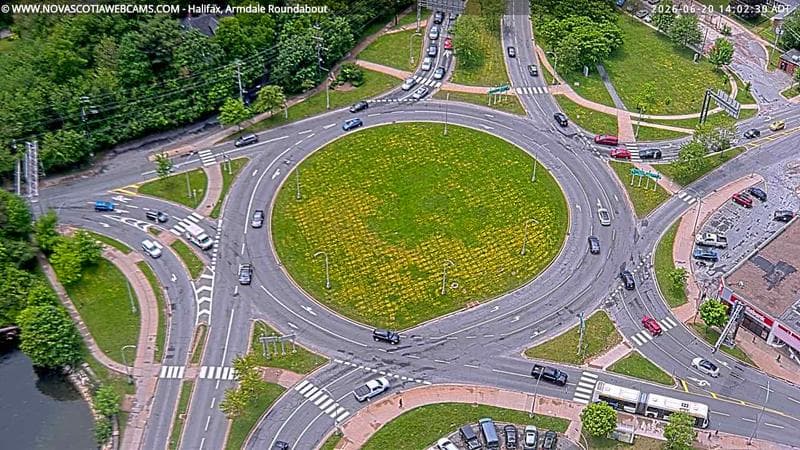 Armdale Roundabout 2