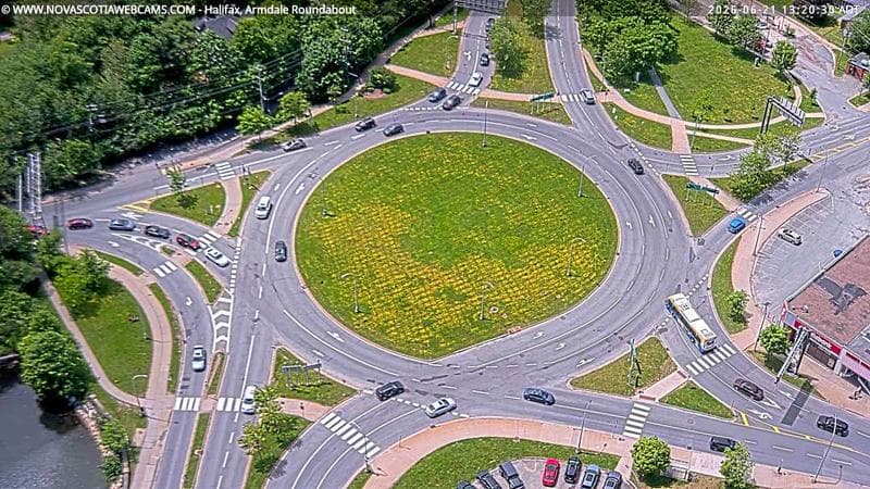 Armdale Roundabout 2