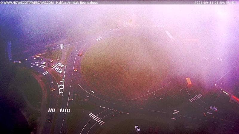 Armdale Roundabout 2