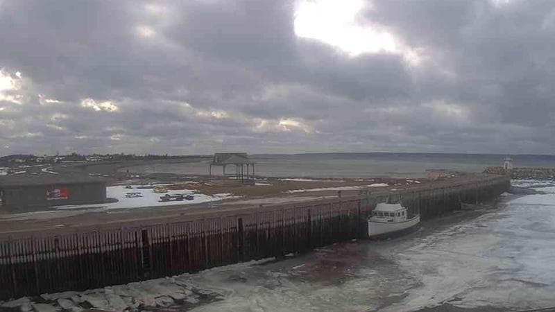 Belliveau Cove Harbour