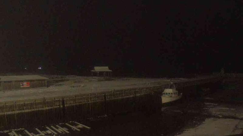 Belliveau Cove Harbour