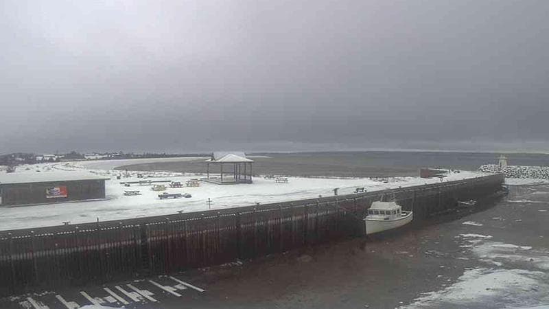 Belliveau Cove Harbour