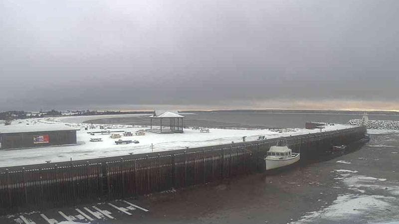 Belliveau Cove Harbour