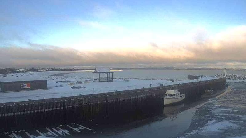 Belliveau Cove Harbour