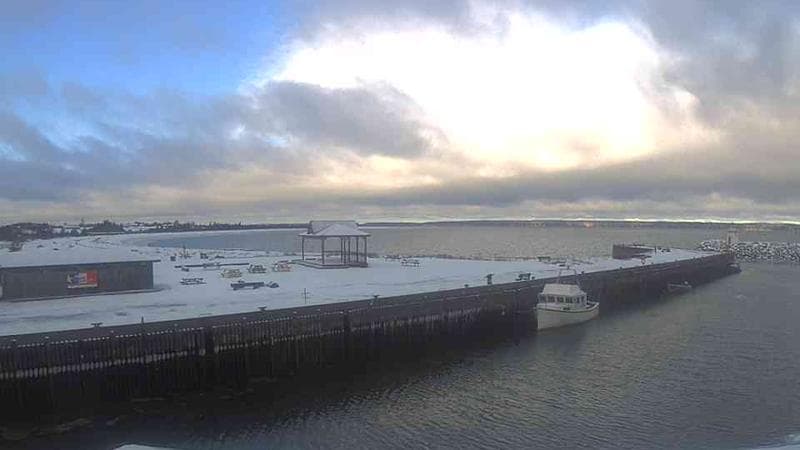 Belliveau Cove Harbour